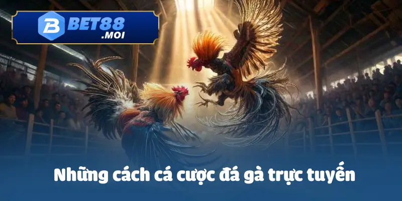 Cách Cá Cược Đá Gà Trực Tuyến – Luật Chơi & Cách Đặt Cược 3 Một số cách các cược đá gà trực tuyến