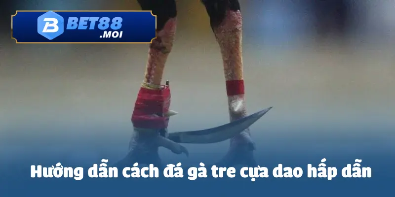 Hướng Dẫn Cá Cược Đá Gà Tre Cựa Dao Hấp Dẫn Tại BET88 4 Những cách đá gà tre cựa dao hấp dẫn được chia sẻ bởi các người chơi kỳ cựu BET88